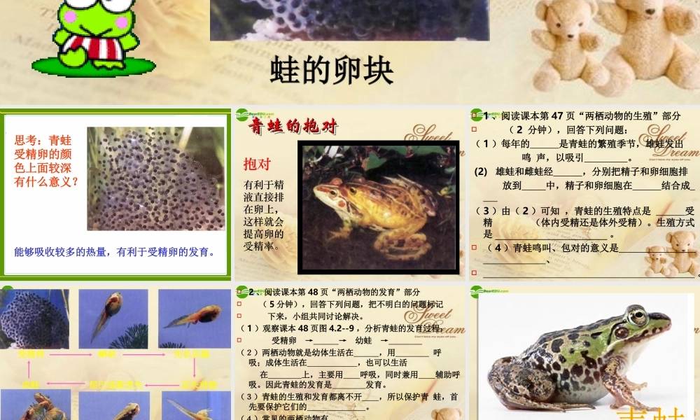 八年级生物上册 两栖动物的生殖和发育课件 济南版 课件