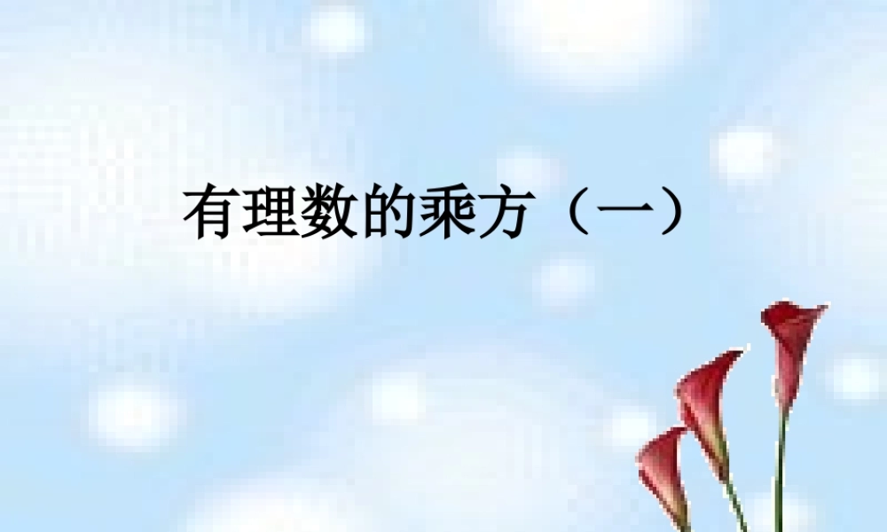 中学七年级数学上册 2.5 有理数的乘方课件1 (新版)浙教版 课件
