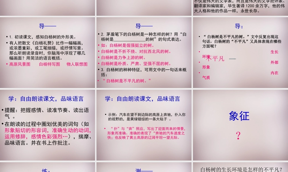 八年级语文下册 第一单元 2(白杨礼赞)课件 苏教版 课件