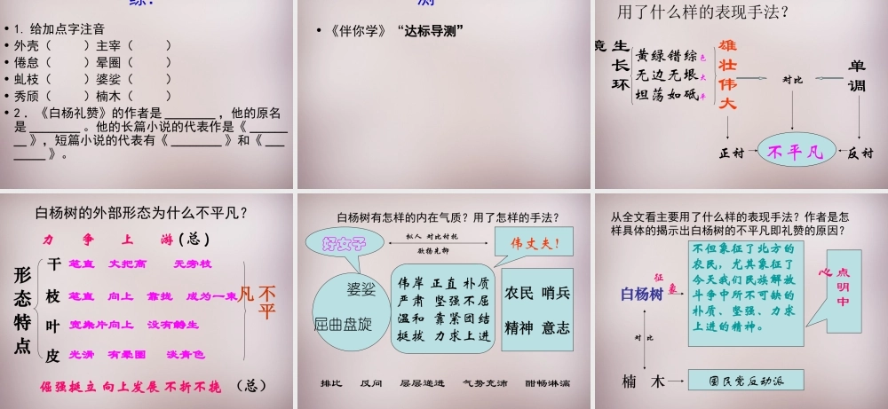 八年级语文下册 第一单元 2(白杨礼赞)课件 苏教版 课件