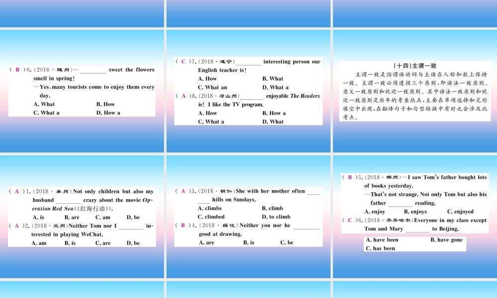 九年级英语全册 专题复习 专题一 单项选择(13 15)习题课件 (新版)人教新目标版 课件