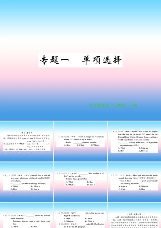 九年级英语全册 专题复习 专题一 单项选择(13 15)习题课件 (新版)人教新目标版 课件