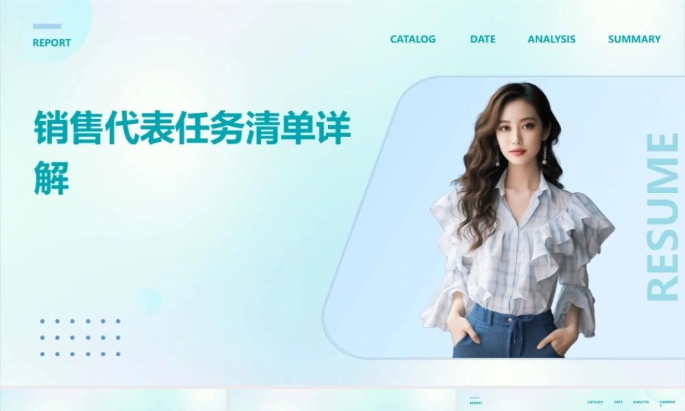 销售代表任务清单详解