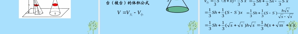 山西省忻州市高考数学 专题 几何体体积复习课件