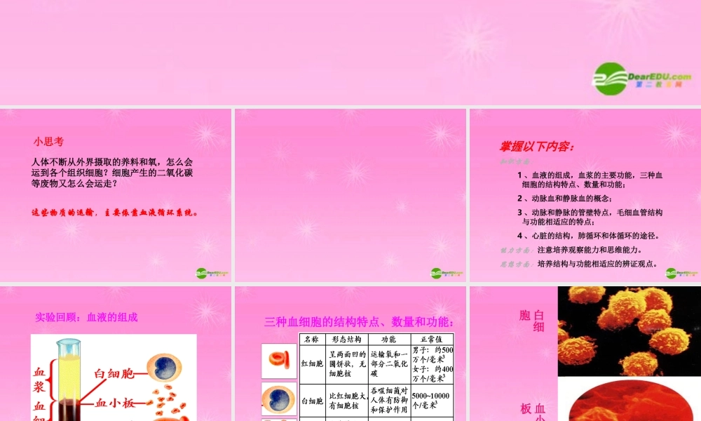 七年级生物下册 流动的组织血液课件 人教新课标版 课件
