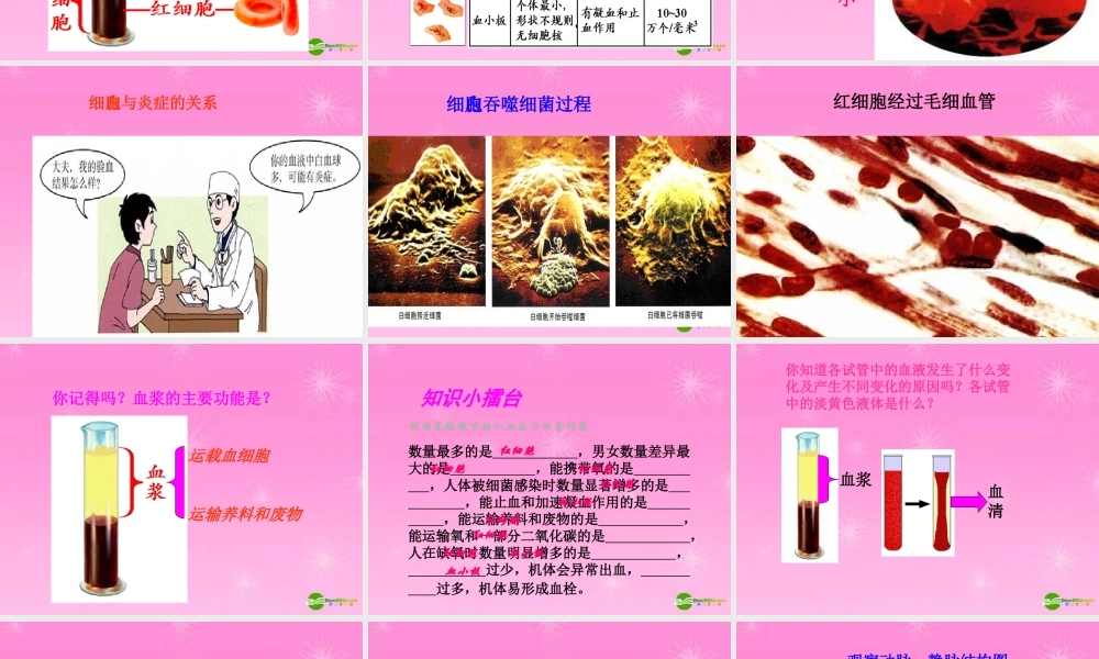 七年级生物下册 流动的组织血液课件 人教新课标版 课件