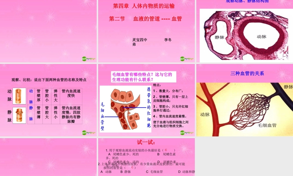 七年级生物下册 流动的组织血液课件 人教新课标版 课件