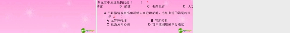 七年级生物下册 流动的组织血液课件 人教新课标版 课件