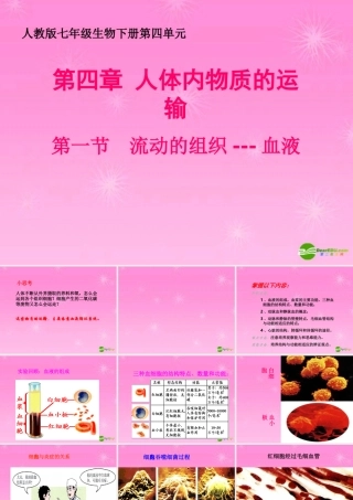 七年级生物下册 流动的组织血液课件 人教新课标版 课件