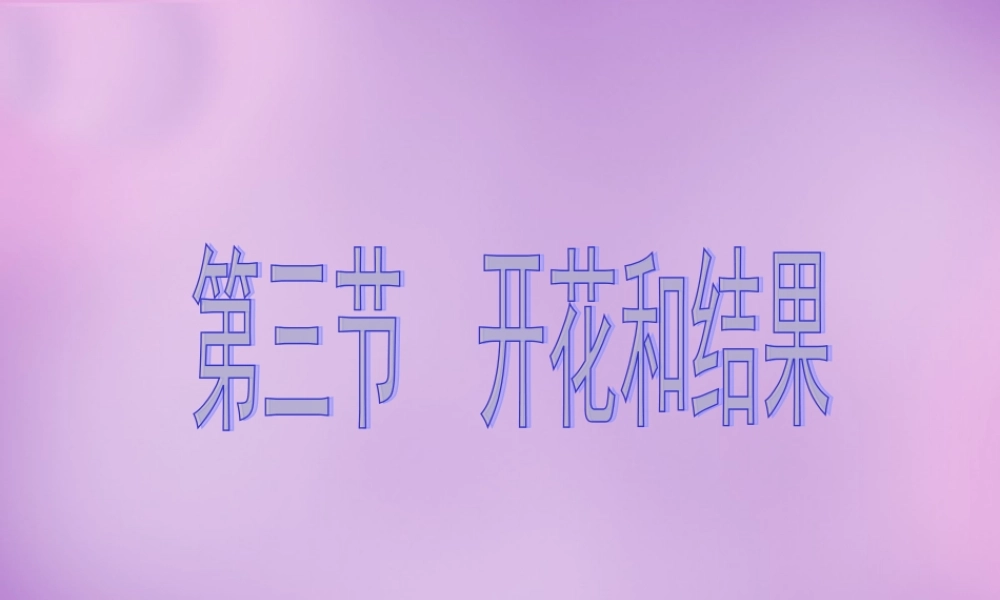 中学七年级生物上册 第三单元 第二章 第三节 开花和结果课件 新人教版 课件