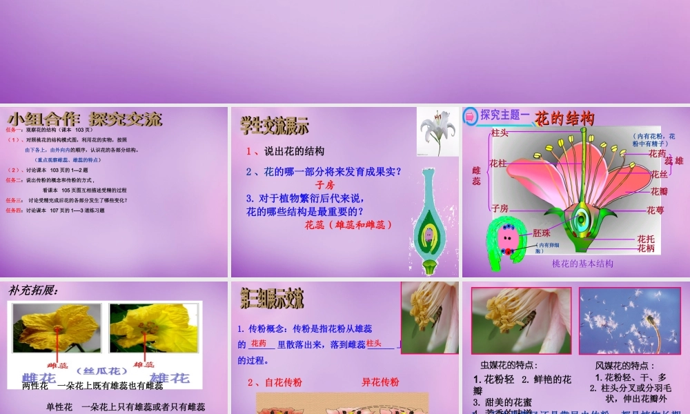 中学七年级生物上册 第三单元 第二章 第三节 开花和结果课件 新人教版 课件