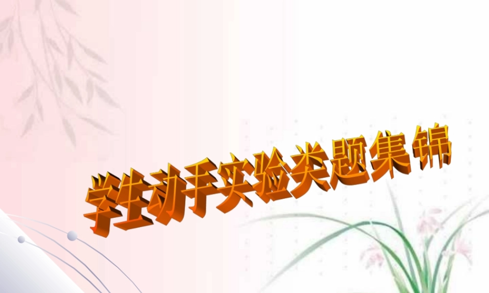 中考数学学生动手实验类型题集锦复习课件