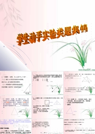 中考数学学生动手实验类型题集锦复习课件
