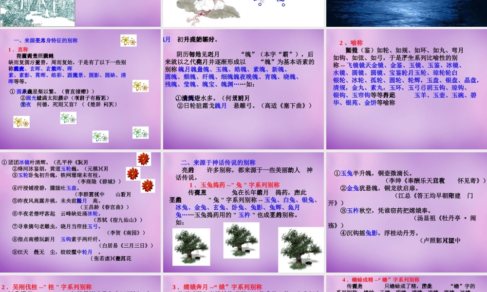 八年级语文下册 中秋明月课件 新人教版 课件