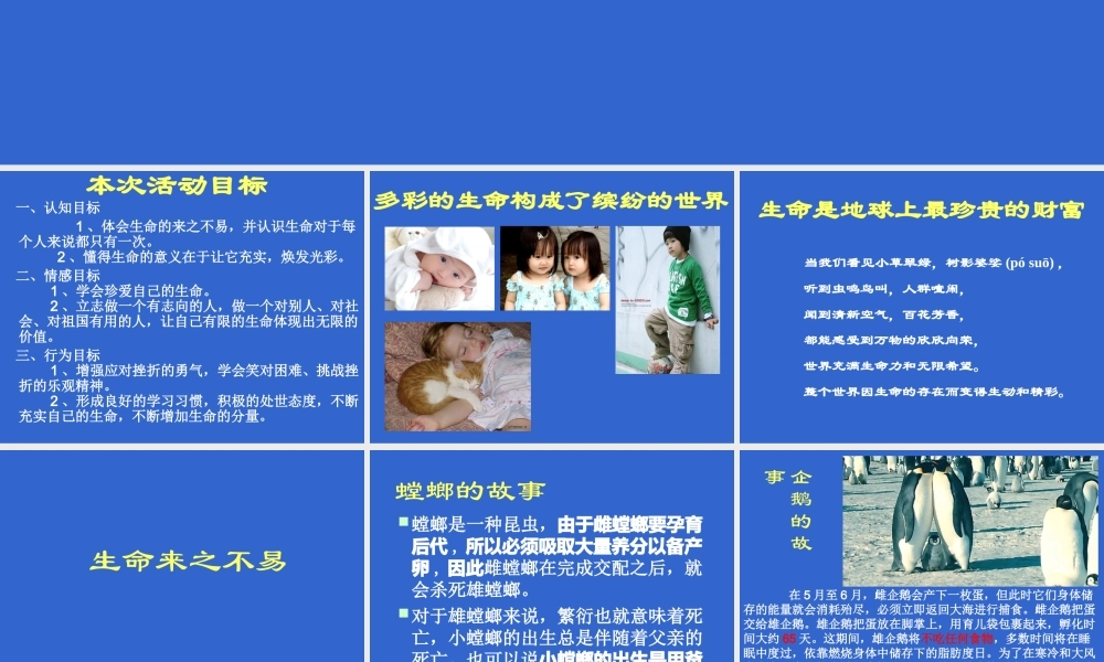 2015年九月高三新生珍惜生命健康成长主题班会课件共35张PPT（共47张PPT）