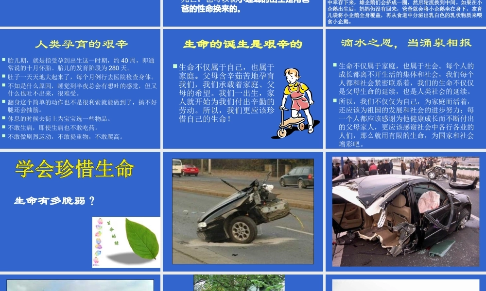 2015年九月高三新生珍惜生命健康成长主题班会课件共35张PPT（共47张PPT）