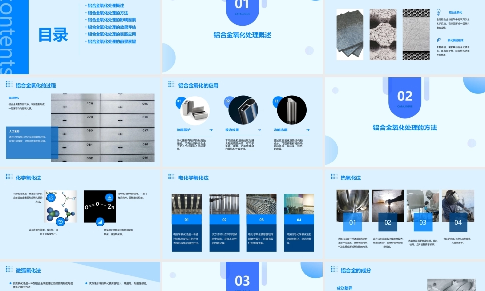 铝合金的氧化处理课件
