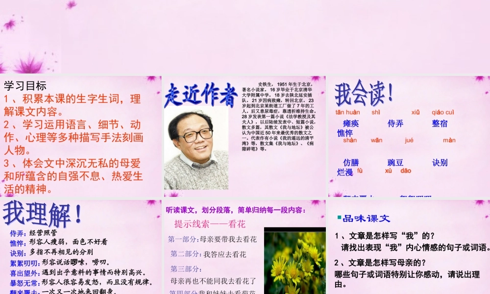 中学七年级语文上册 2(秋天的怀念)课件  (新版)新人教版 课件