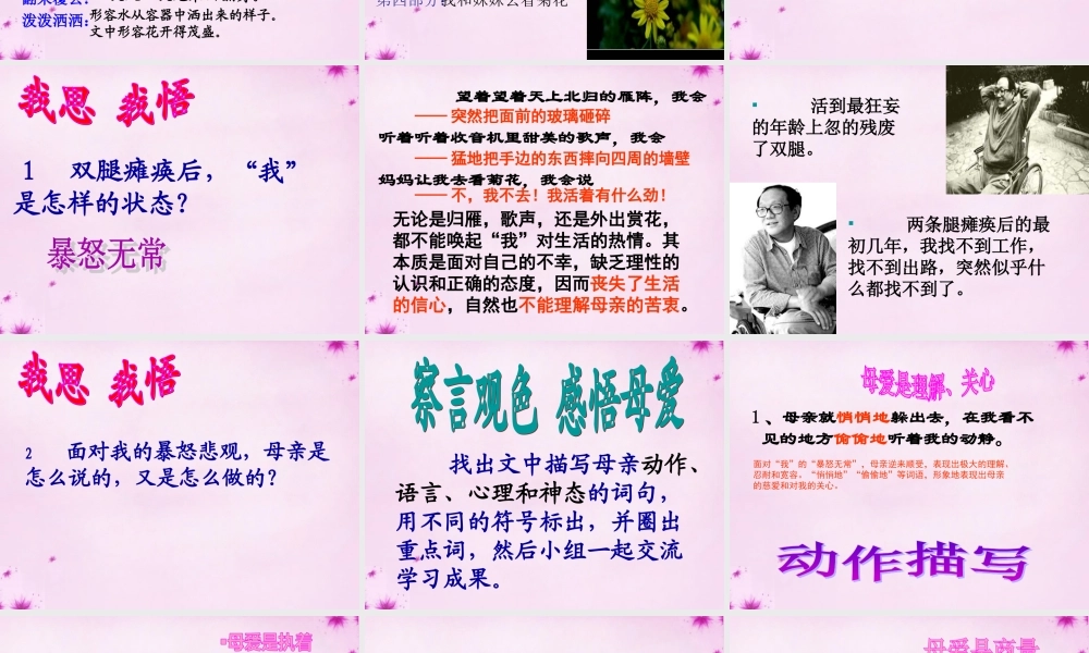 中学七年级语文上册 2(秋天的怀念)课件  (新版)新人教版 课件