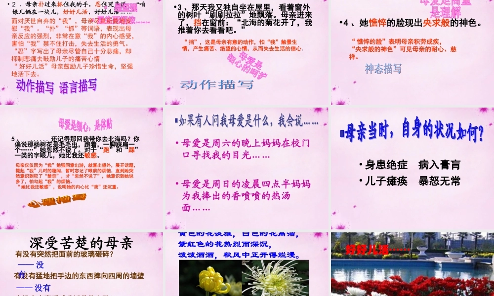 中学七年级语文上册 2(秋天的怀念)课件  (新版)新人教版 课件