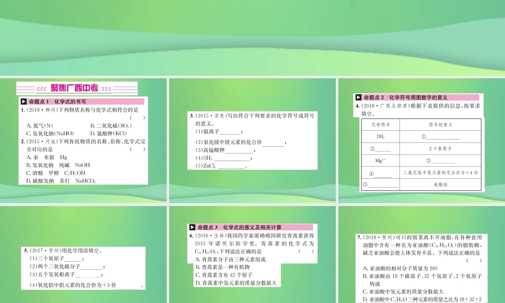 中考化学总复习 教材考点梳理 第4单元 自然界中的水第2课时化学式与化合价课件