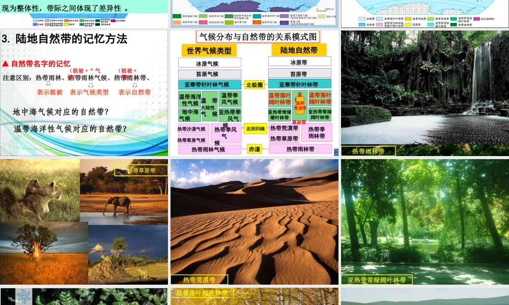 第二节自然地理环境的差异性
