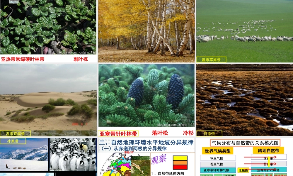 第二节自然地理环境的差异性