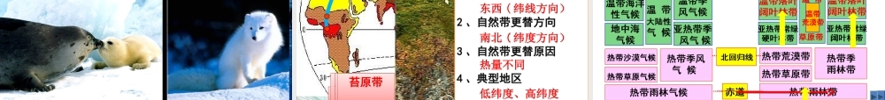 第二节自然地理环境的差异性