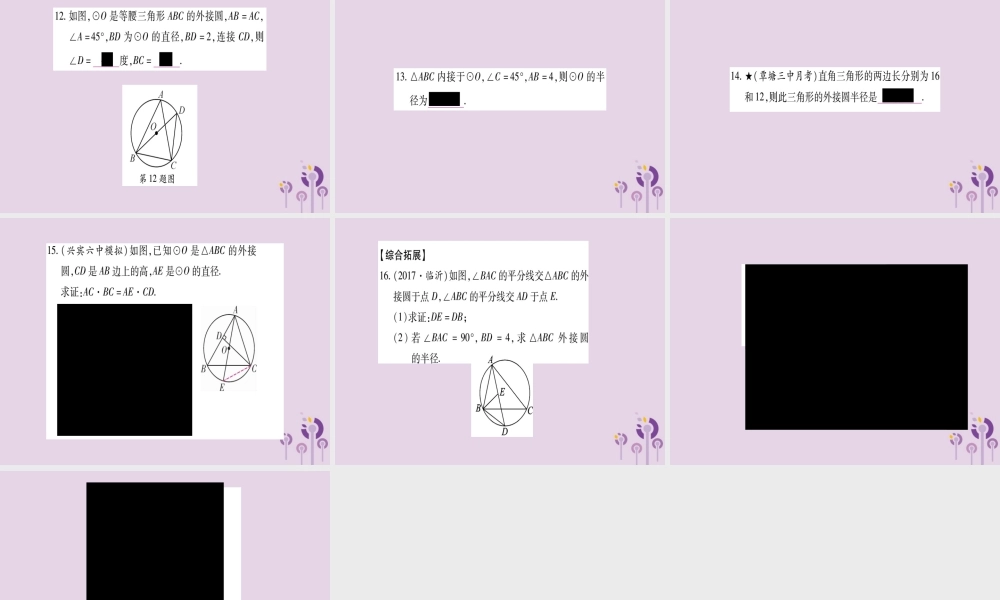 九年级数学下册 第2章 圆 24 过不共线三点作圆作业课件 (新版)湘教版 课件