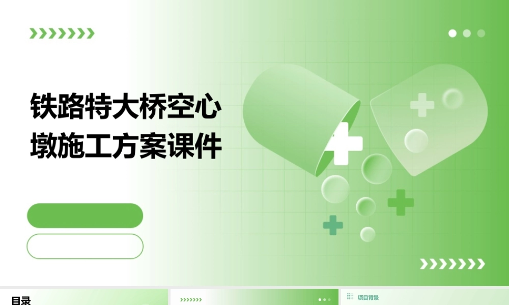 铁路特大桥空心墩施工方案课件