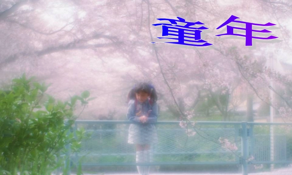 七年级语文下册(三颗枸杞豆)课件 苏教版 课件