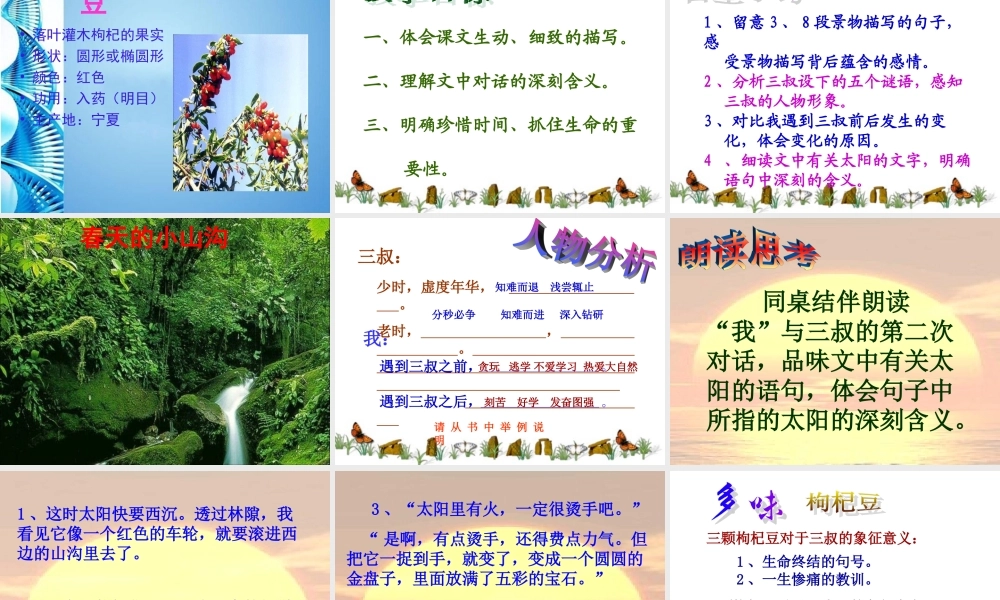 七年级语文下册(三颗枸杞豆)课件 苏教版 课件