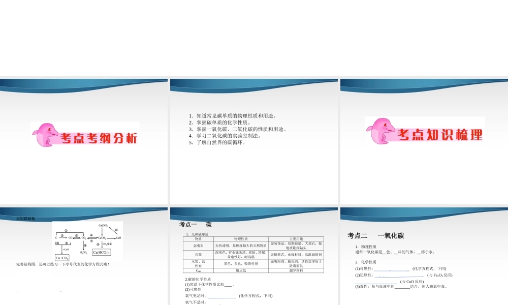 中考化学 专题2 碳和碳的氧化物复习课件