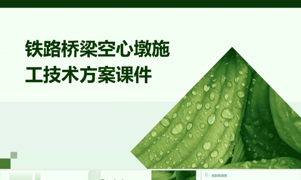 铁路桥梁空心墩施工技术方案课件