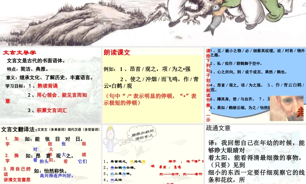 七年级语文上册 第一单元第5课 (童趣)课件 人教新课标版 课件