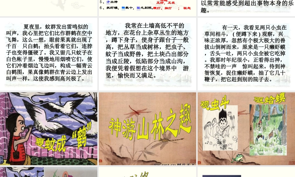 七年级语文上册 第一单元第5课 (童趣)课件 人教新课标版 课件