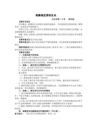 观察绿豆芽的生长