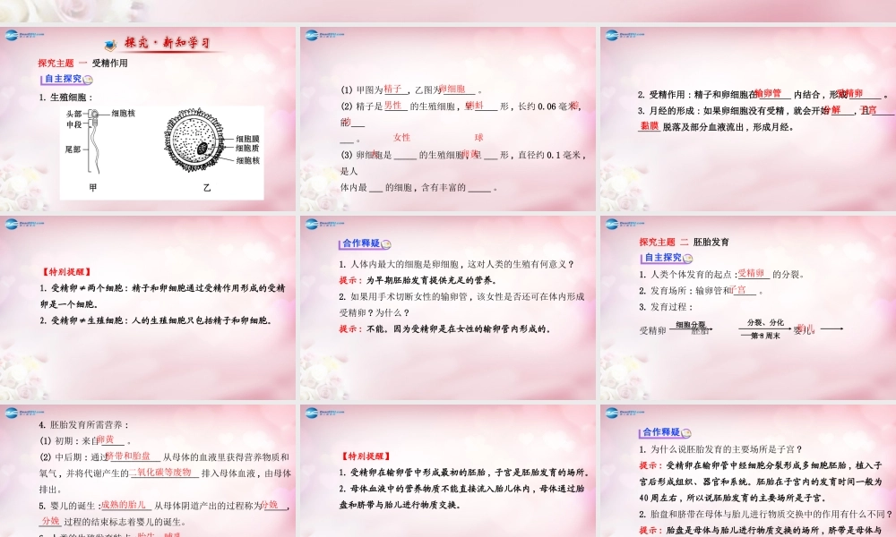 八年级生物上册 第四单元 第三章 第一节 婴儿的诞生课件2 济南版 课件