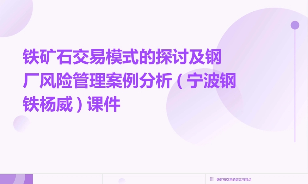 铁矿石交易模式的探讨及钢厂风险管理案例分析(宁波钢铁杨威)课件