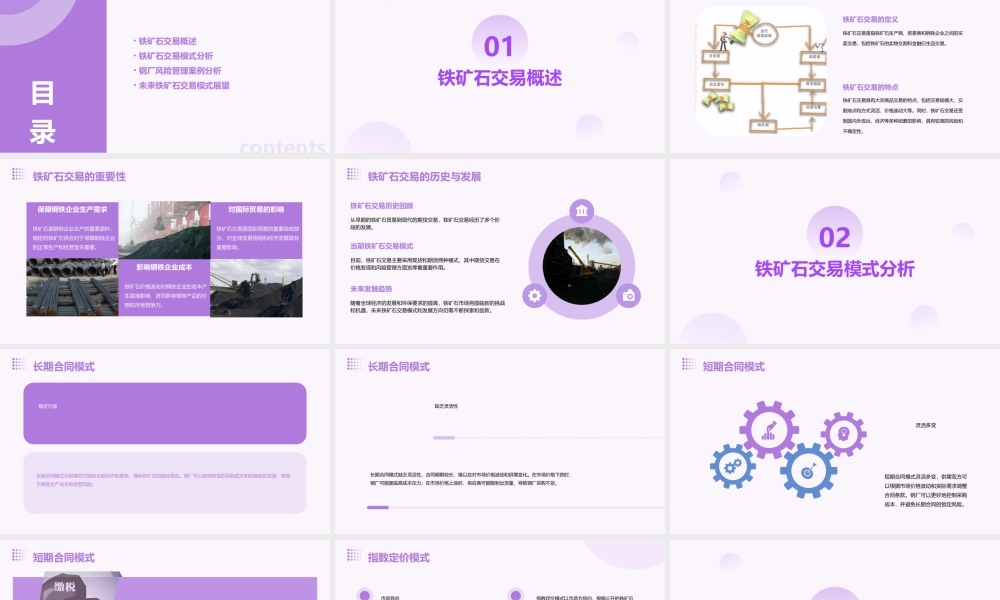 铁矿石交易模式的探讨及钢厂风险管理案例分析(宁波钢铁杨威)课件