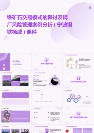 铁矿石交易模式的探讨及钢厂风险管理案例分析(宁波钢铁杨威)课件