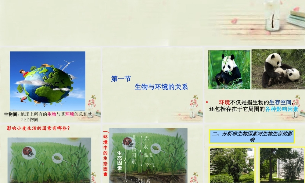 中学七年级生物上册 1.2.1 生物与环境的关系课件(1)(新版)新人教版 课件