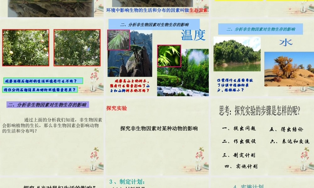 中学七年级生物上册 1.2.1 生物与环境的关系课件(1)(新版)新人教版 课件