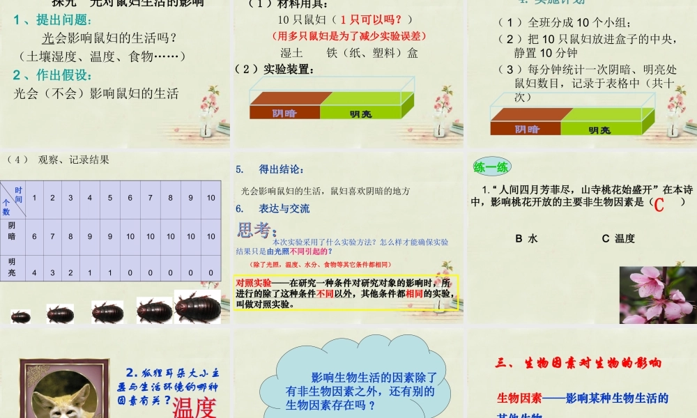中学七年级生物上册 1.2.1 生物与环境的关系课件(1)(新版)新人教版 课件