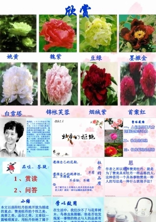 人教版高一语文牡丹的拒绝课件0 课件
