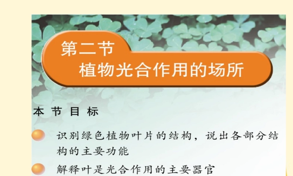 七年级生物上册(植物光合作用的场所)课件 苏教版 课件