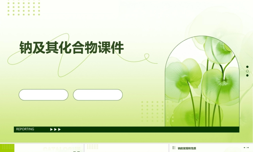 钠及其化合物课件