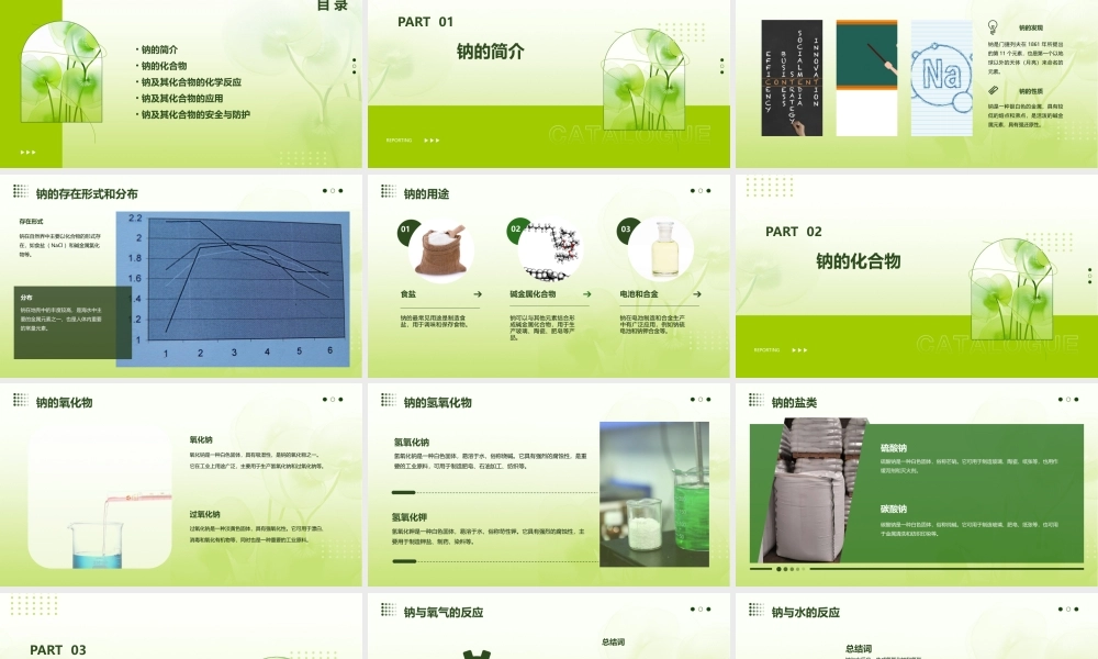 钠及其化合物课件