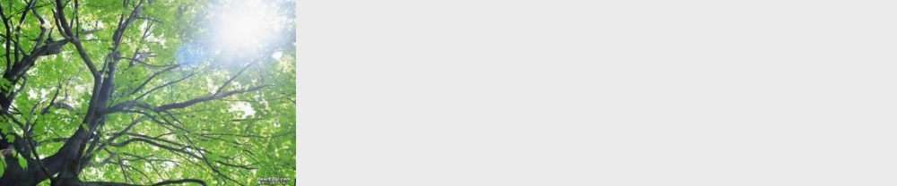 九年级历史古代科技与思想文化一新课标 人教版 课件