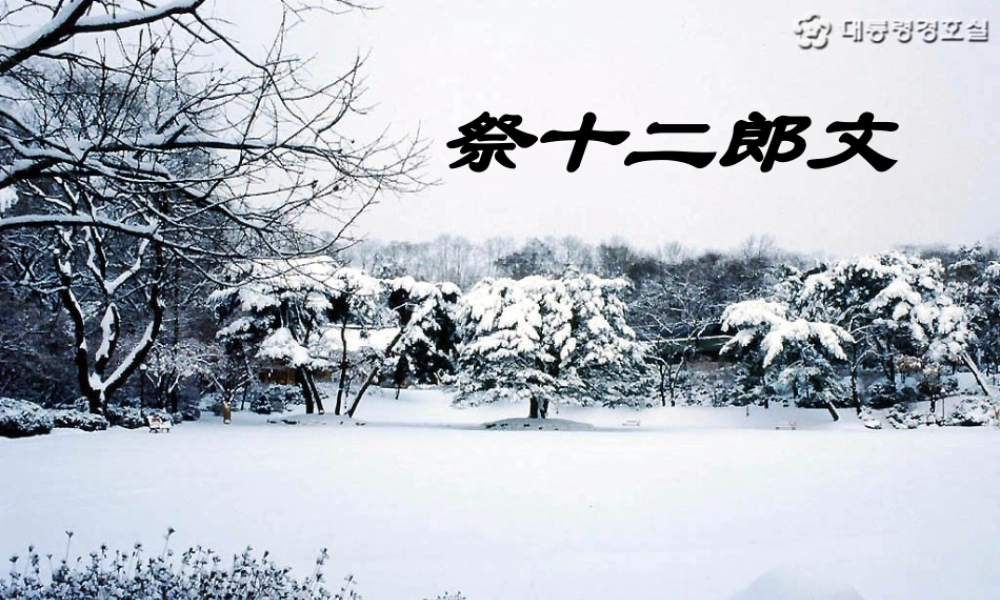 人教版高二语文下学期第五单元 祭十二郎文 课件